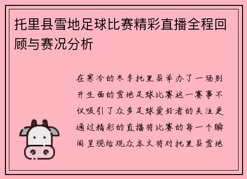 托里县雪地足球比赛精彩直播全程回顾与赛况分析